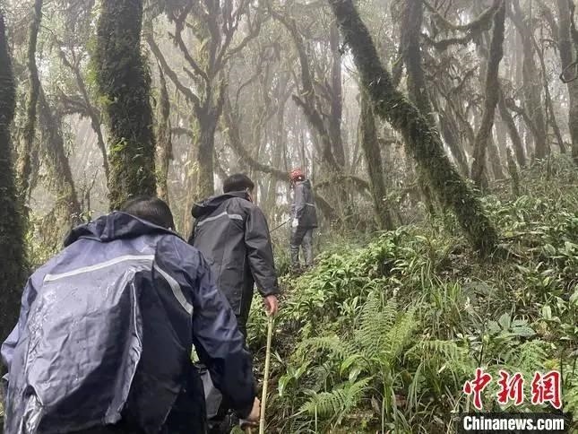 圖為救援現(xiàn)場。鎮(zhèn)沅縣委宣傳部提供