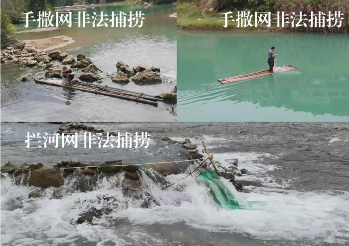 2021年9—10月，前期暗查發(fā)現(xiàn)，保護區(qū)核心區(qū)內(nèi)非法捕撈行為十分猖獗