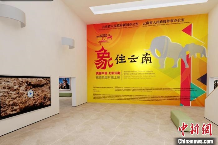 圖為“象”往云南——美麗中國 七彩云南視頻及圖片線上展截圖?！『h航 攝