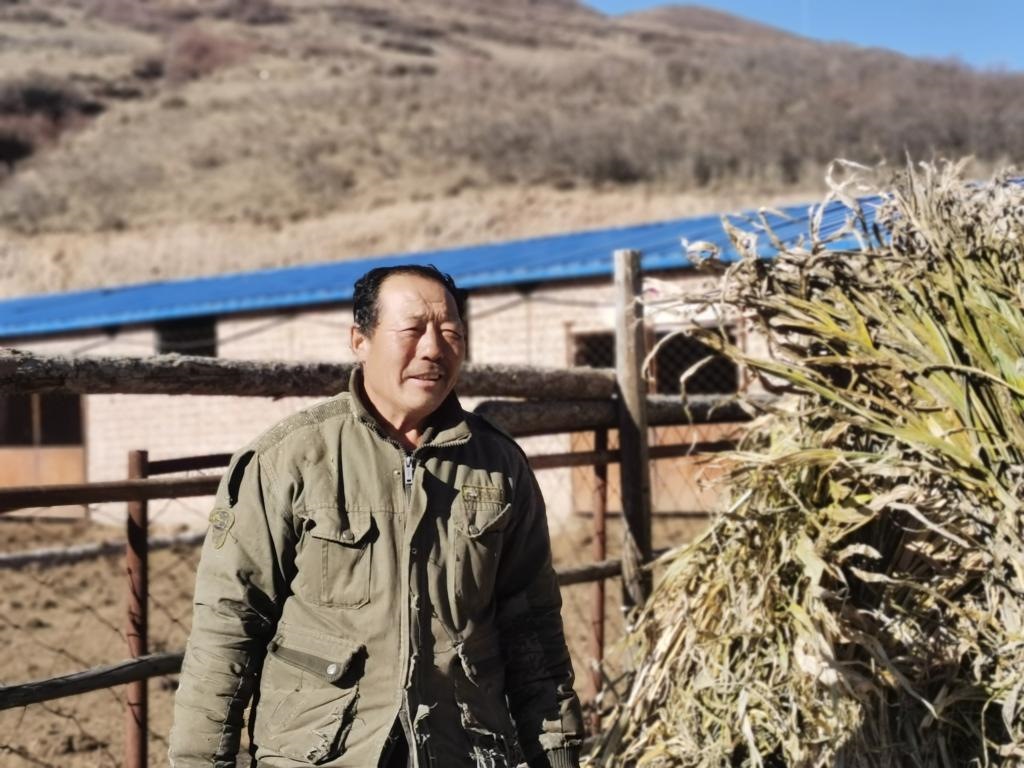 1月19日，山西省岢嵐縣脫貧戶呂如堂在牛圈前準(zhǔn)備草料。新華社記者 梁曉飛 攝