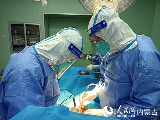 醫(yī)護(hù)人員正在為新冠肺炎合并腸梗阻腸穿孔的尿毒癥患者實(shí)施急診手術(shù)。呼和浩特市第一醫(yī)院供圖