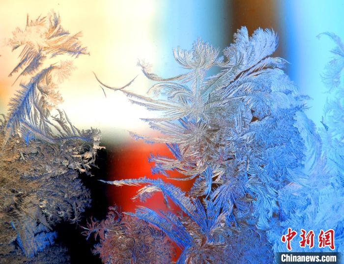 冰窗花千姿百態(tài)?！O書程 攝