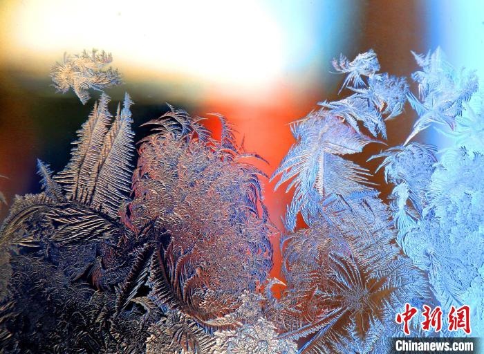 惟妙惟肖的冰窗花，似一幅風(fēng)景畫。　孫書程 攝