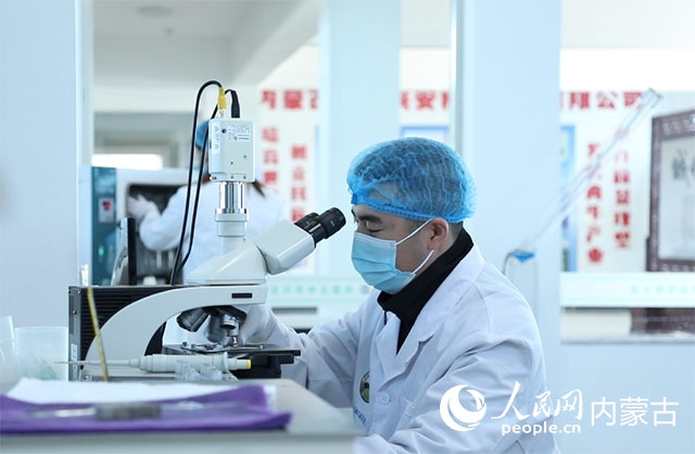 內(nèi)蒙古中農(nóng)興安種牛科技有限公司落戶科右中旗，為肉牛產(chǎn)業(yè)發(fā)展提供了優(yōu)質(zhì)的種源保障。白俊華攝