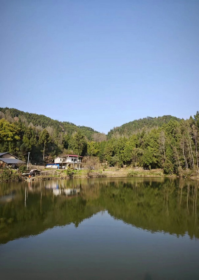 這樣在對面看，老家也算依山傍水.jpg