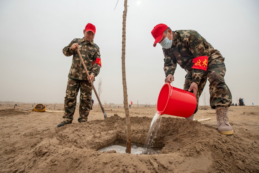 技術(shù)員現(xiàn)場(chǎng)指導(dǎo)植樹（攝影：包寶音德力格爾）.JPG