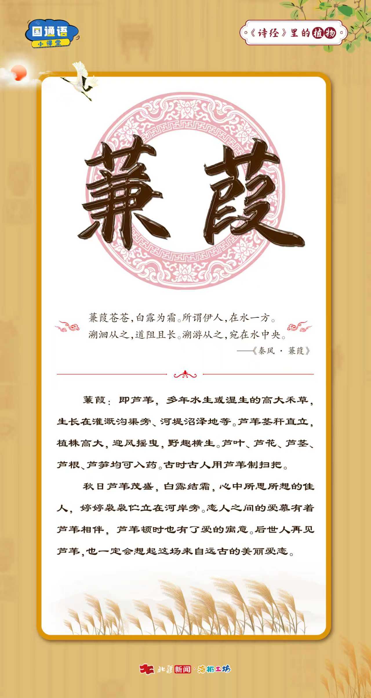 1765078393288054.jpeg WechatIMG1869.jpeg