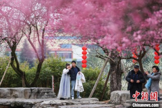 2月23日，市民在乾藝梅園景區(qū)觀賞綻放的梅花。瞿宏倫 攝