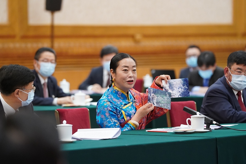 2021年3月7日，習(xí)近平總書記在參加十三屆全國(guó)人大四次會(huì)議青海代表團(tuán)審議時(shí)，全國(guó)人大代表孔慶菊在會(huì)上展示了兩張照片，上面分別是祁連山地區(qū)多年不見蹤跡的雪豹和荒漠貓。