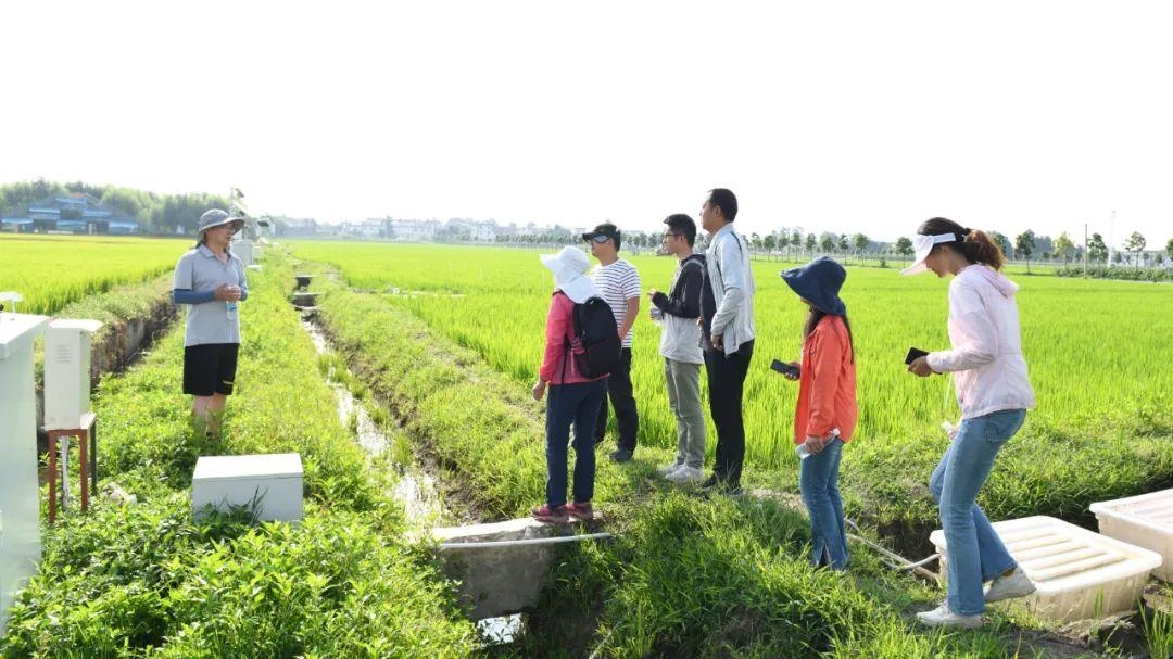 △云南大理古生村科技小院成員在田間調(diào)查。