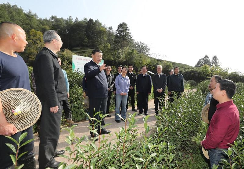 2021年3月22日，習(xí)近平總書記在福建南平武夷山市星村鎮(zhèn)燕子窠生態(tài)茶園，同科技特派員、茶農(nóng)親切交流，了解當(dāng)?shù)夭璁a(chǎn)業(yè)發(fā)展情況。