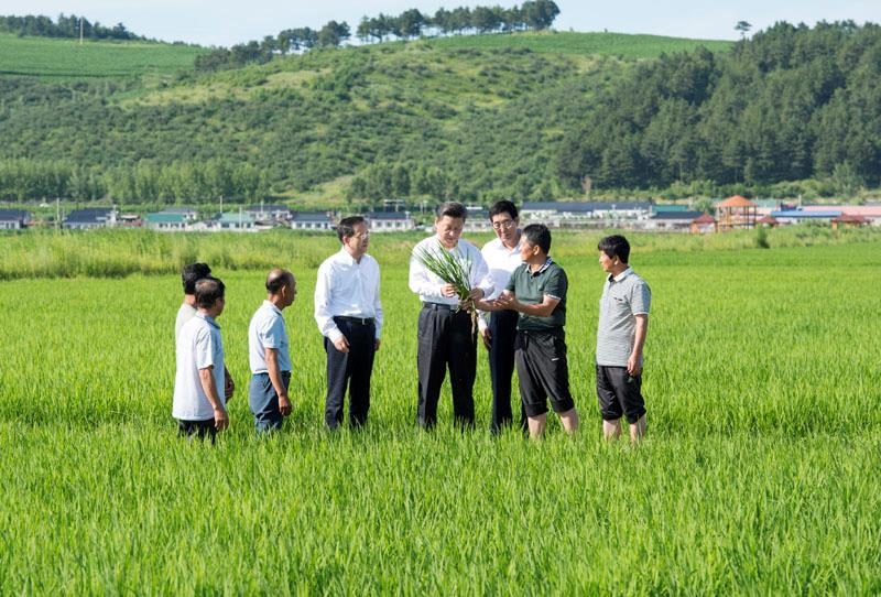 2015年7月16日，習(xí)近平總書記在吉林延邊州光東村稻田同村民和農(nóng)技人員交流。
