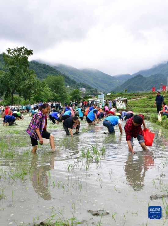 5月27日，秭歸縣九畹溪鎮(zhèn)農(nóng)民參加摸魚比賽。