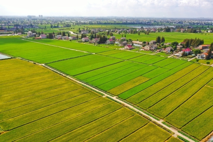 嘉興市高標準農(nóng)田航拍