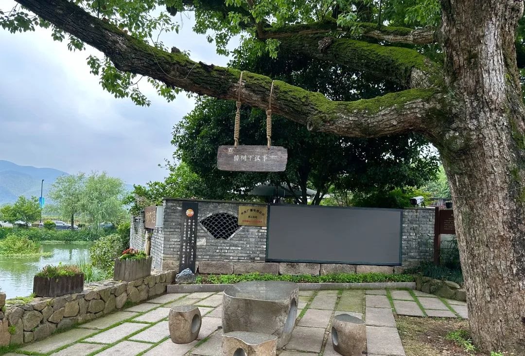 浙江省杭州市余杭區(qū)小古城村的“樟樹下議事”木制字牌。靜玄 攝