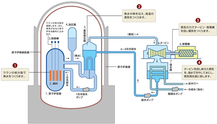 核電站運(yùn)作原理圖。通常的核電站排水未直接接觸核燃料。（圖片來(lái)源：日本北海道電力株式會(huì)社網(wǎng)站）