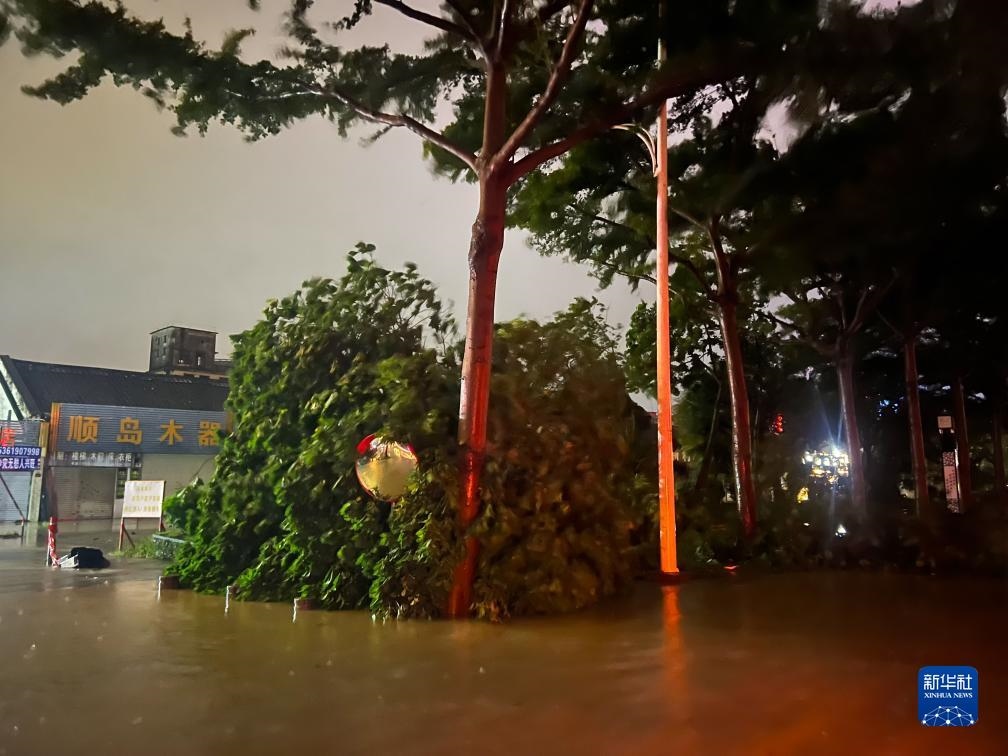 7月17日晚，在廣東湛江海濱大道北，路邊的樹(shù)木被風(fēng)刮倒（手機(jī)照片）。新華社記者 鄧華 攝