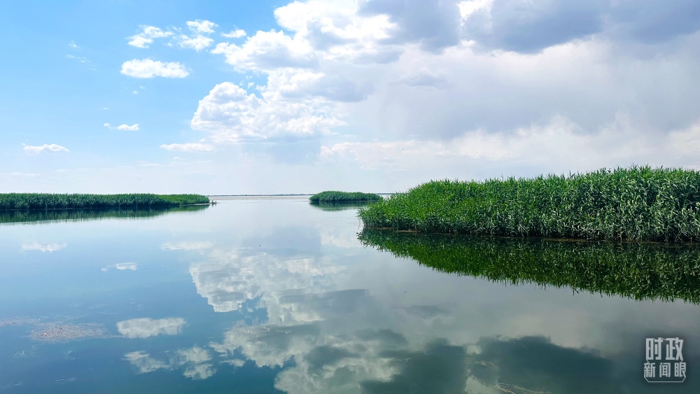 內(nèi)蒙古烏梁素海，是黃河流域最大的湖泊濕地。（總臺央視記者范一鳴拍攝）