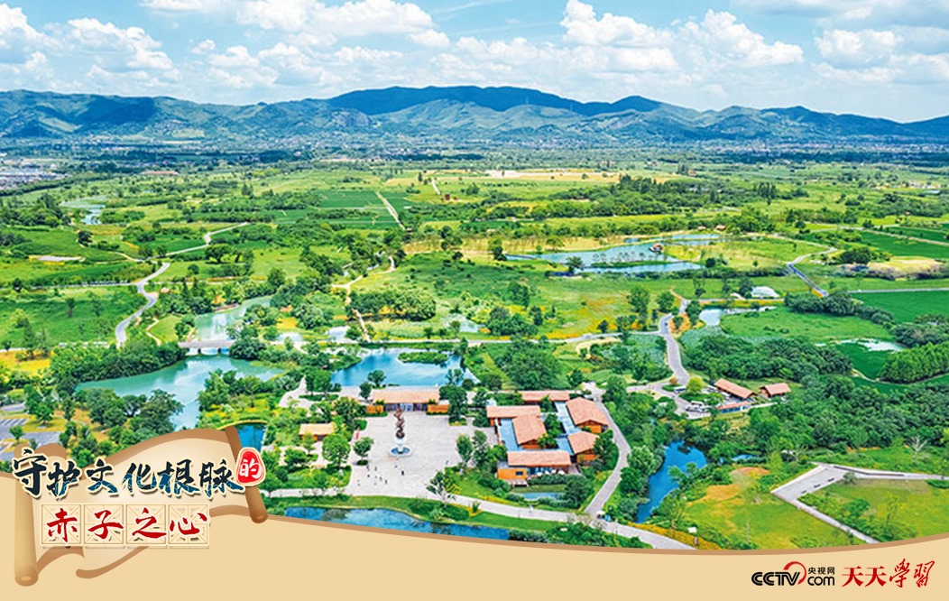 圖為2021年7月拍攝的良渚古城遺址公園。