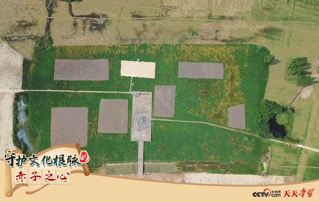 2019年6月23日無人機(jī)拍攝的良渚國家考古遺址公園的宮殿區(qū)。