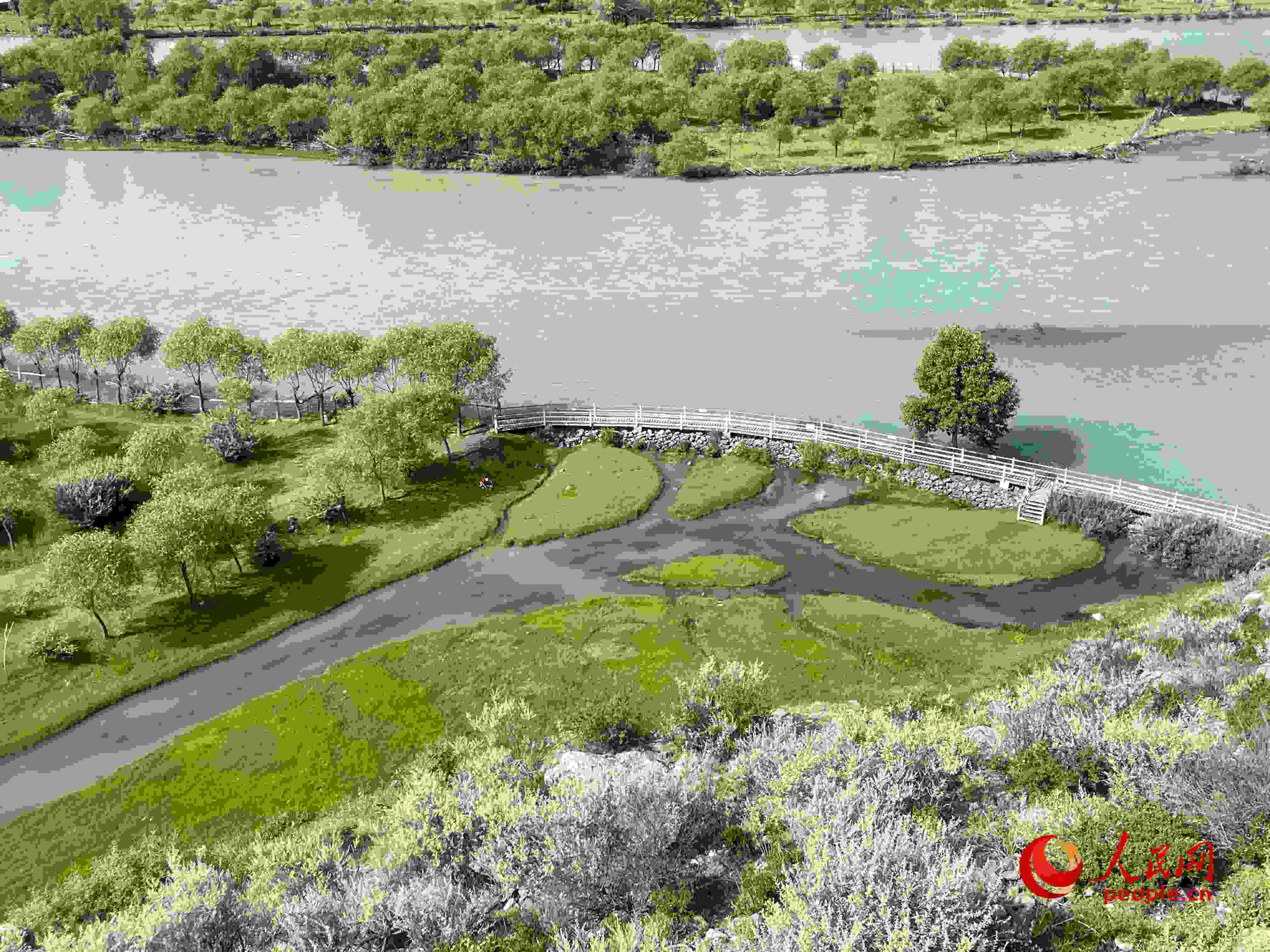 夏日的雅尼國(guó)家濕地公園生機(jī)盎然，如詩(shī)如畫。人民網(wǎng) 周靜圓攝