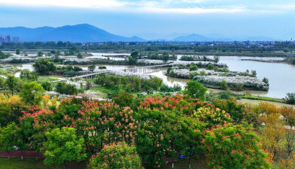 2022年10月11日拍攝的天漢濕地公園景色。新華社發(fā)（宋曉麗 攝）
