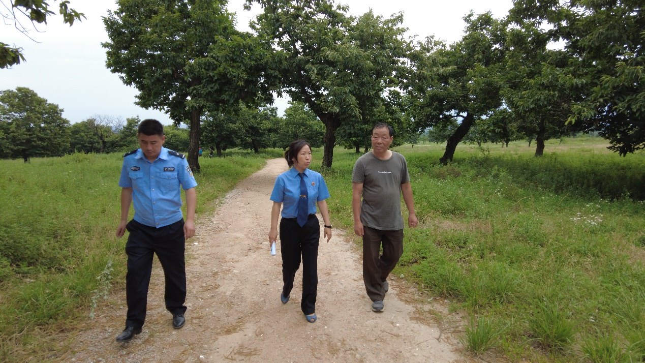 惠琳琳一行向當地村民了解板栗古樹群保護情況。人民網 黨童攝