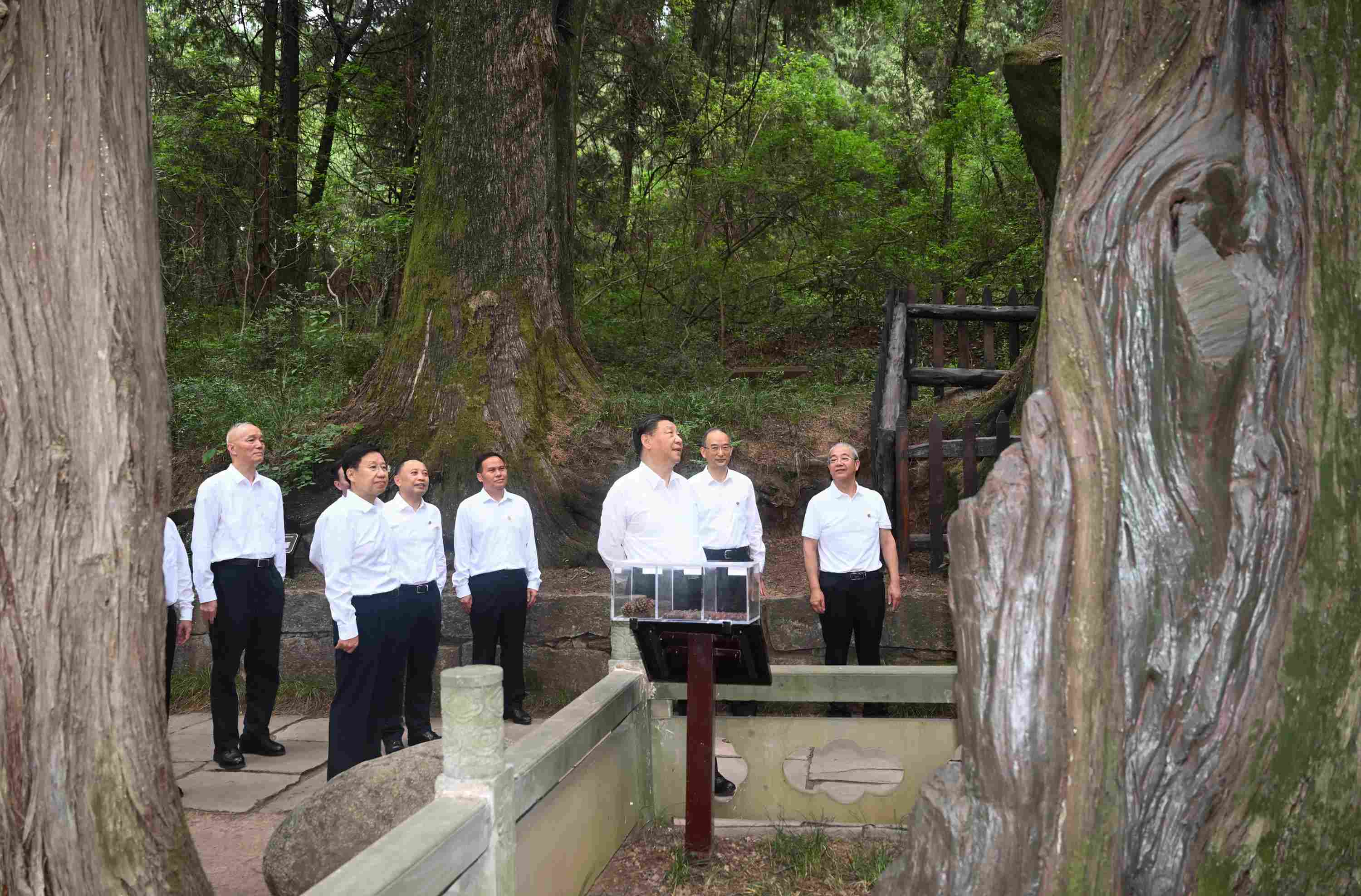 △2023年7月25日，習(xí)近平總書記在四川省廣元市考察了翠云廊古蜀道，了解當(dāng)?shù)赝七M(jìn)歷史文化傳承、加強生態(tài)文明建設(shè)等情況。