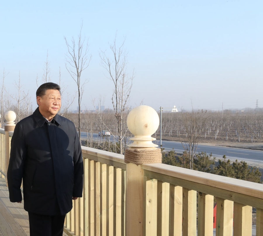2019年1月16日，習近平在河北雄安新區(qū)考察調(diào)研。在“千年秀林”大清河片林一區(qū)造林區(qū)域，習近平登上秀林驛站二層平臺遠眺林區(qū)全貌。