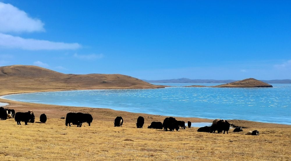 在三江源國(guó)家公園黃河源園區(qū)拍攝的扎陵湖風(fēng)光（2022年3月12日攝）。新華社記者 呂雪莉 攝