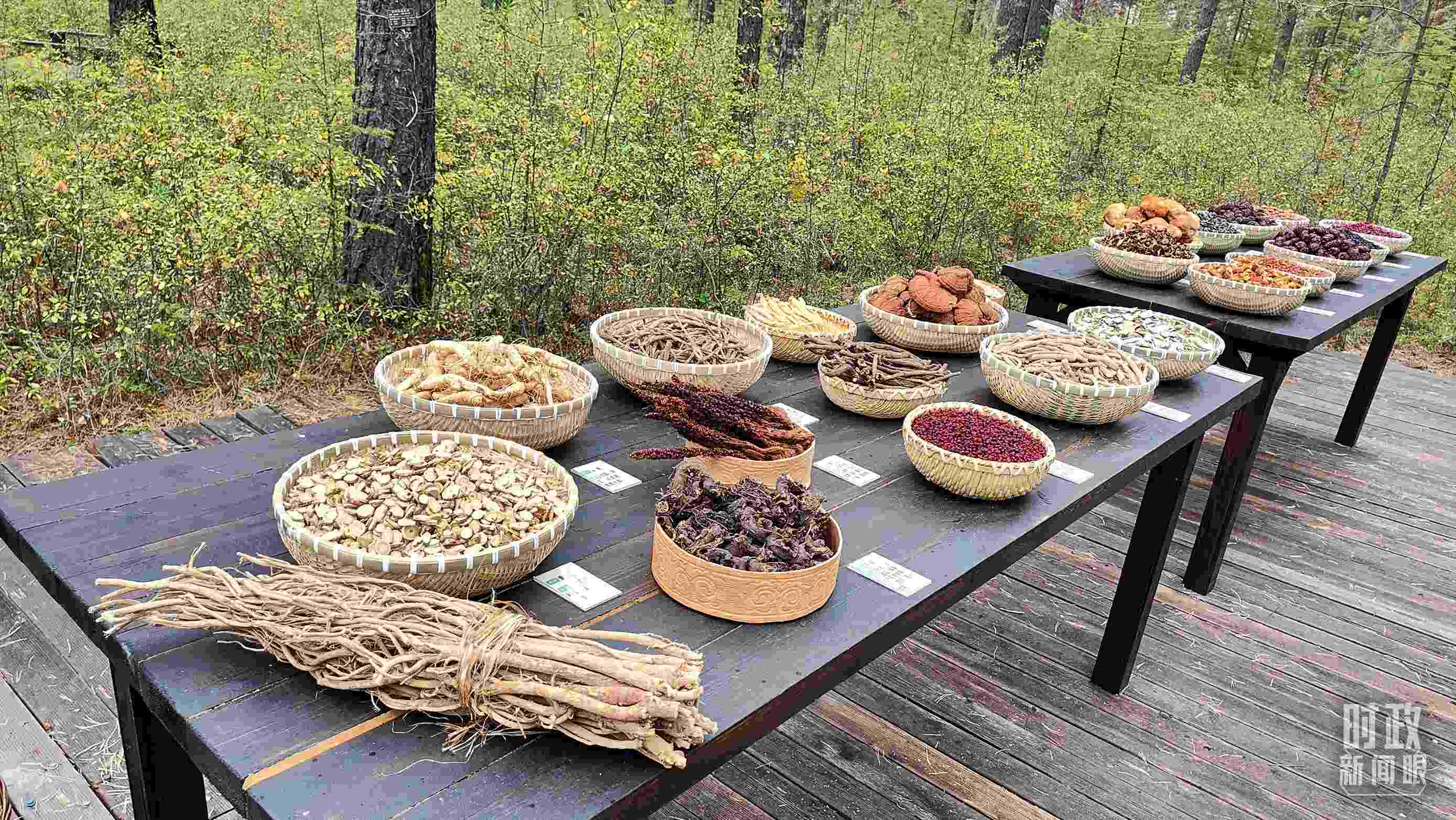 △林場里的食用菌、林果等特產(chǎn)。（總臺央視記者楊立峰拍攝）