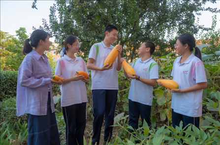 密云區(qū)第五中學(xué)豐收節(jié)活動(dòng)。北京市教委供圖
