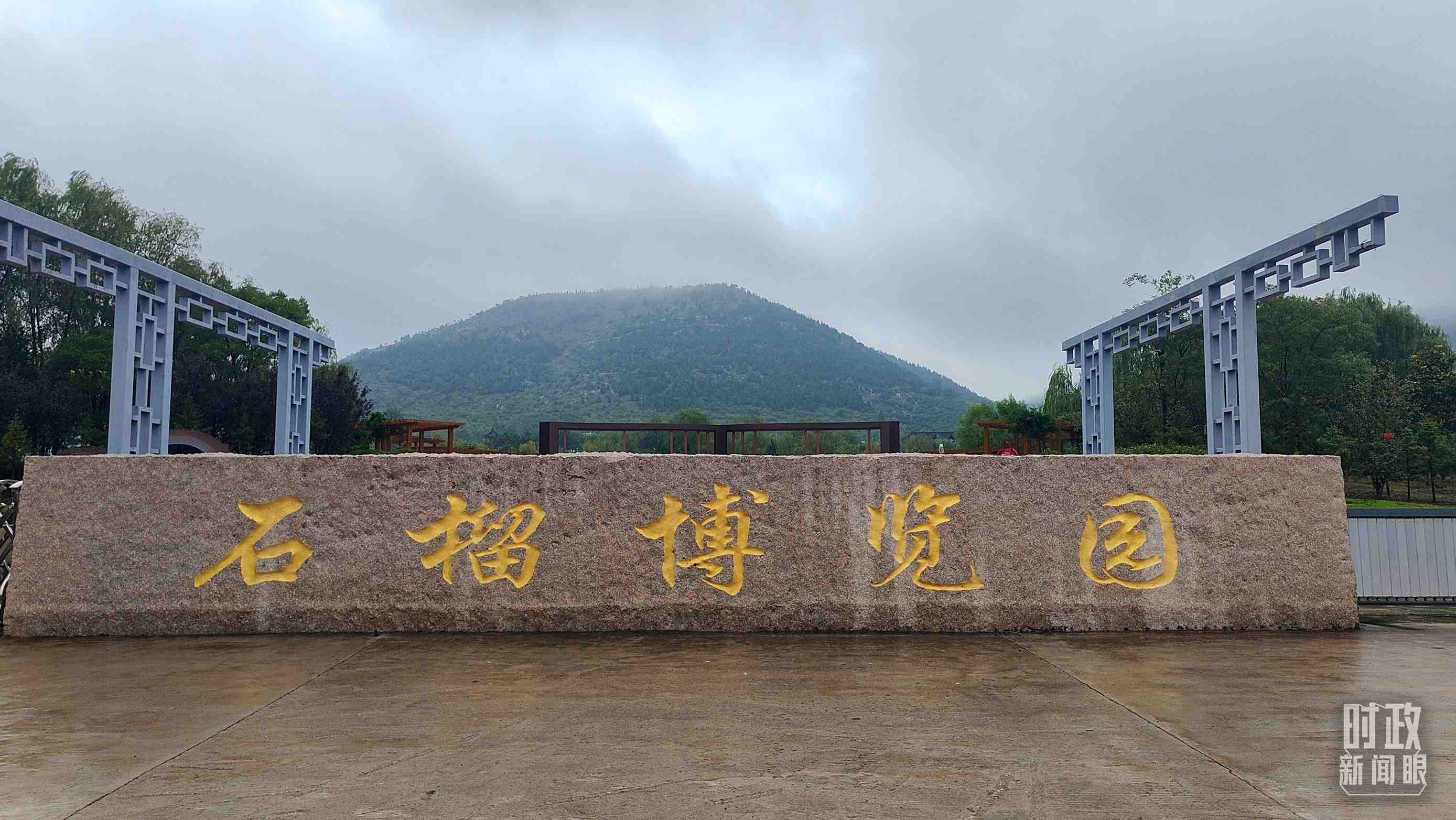 △石榴種質資源庫位于石榴博覽園內(nèi)。（總臺央視記者楊立峰拍攝）