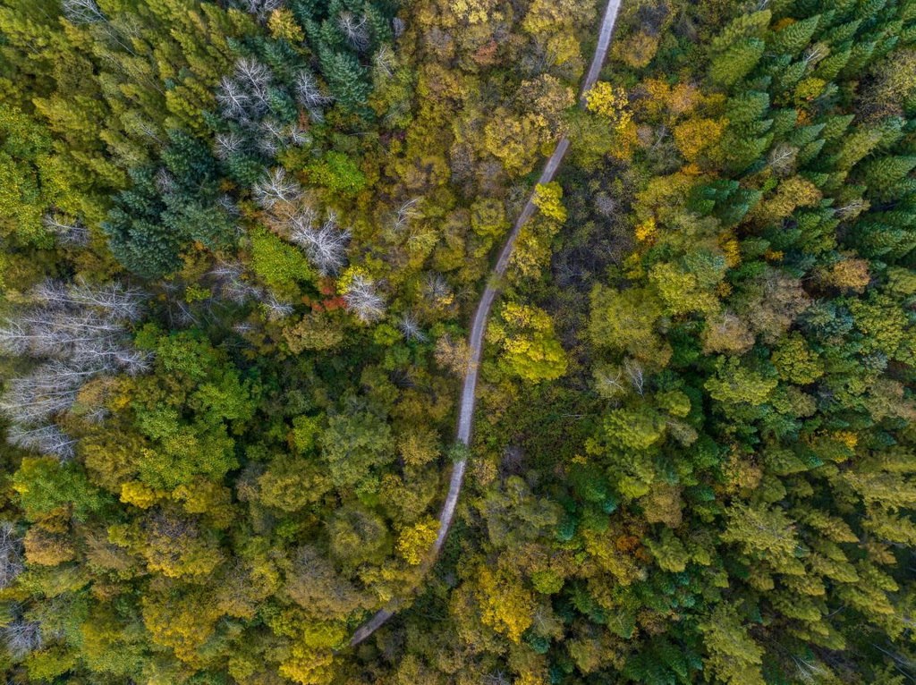 綠意盎然的長白山地區(qū)。王哲攝