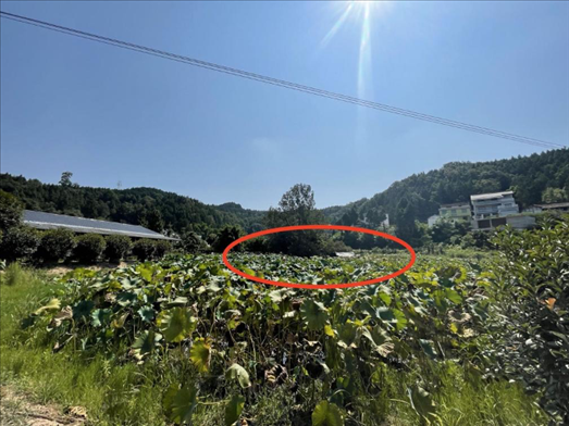 曾經(jīng)的圣水園所在地。 人民網(wǎng)記者 楊喬攝