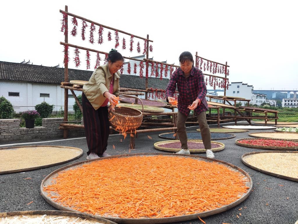近日，江西省上饒市婺源縣秋口鎮(zhèn)王村的村民正在晾曬農(nóng)作物。新華社記者 劉佳敏 攝