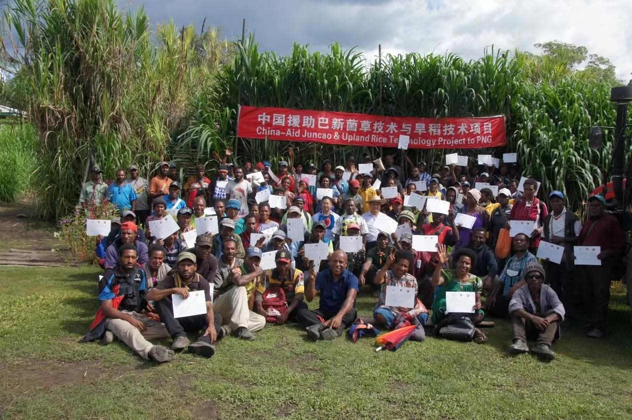 △2020年12月17日，在巴布亞新幾內(nèi)亞?wèn)|高地省，參加中國(guó)援助巴新菌草和旱稻技術(shù)項(xiàng)目第9期培訓(xùn)班的當(dāng)?shù)孛癖娬故窘Y(jié)業(yè)證書。