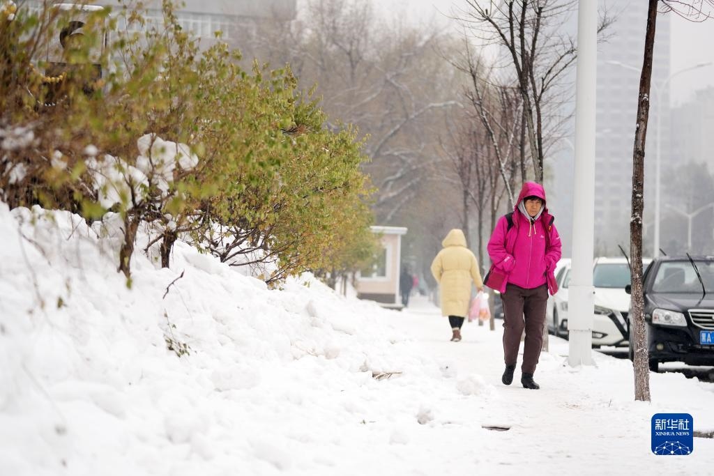 11月16日，市民在雪中前行。當(dāng)日，黑龍江哈爾濱市迎來雨雪天氣。新華社記者 王建威 攝