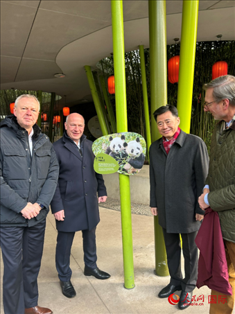 中國(guó)駐德國(guó)大使吳懇（右二）、柏林市長(zhǎng)韋格納（左二）、動(dòng)物園園長(zhǎng)克尼里姆（右一）和監(jiān)事會(huì)主席布魯克曼（左一）共同為“夢(mèng)想”“夢(mèng)圓”大熊貓紀(jì)念牌揭幕。人民網(wǎng)記者 徐馨攝