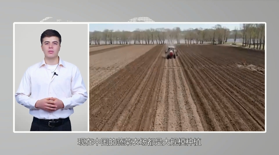 【國際3分鐘】中國大蒜成國家威脅？美政客反智言論背后的問題值得思考_fororder_2
