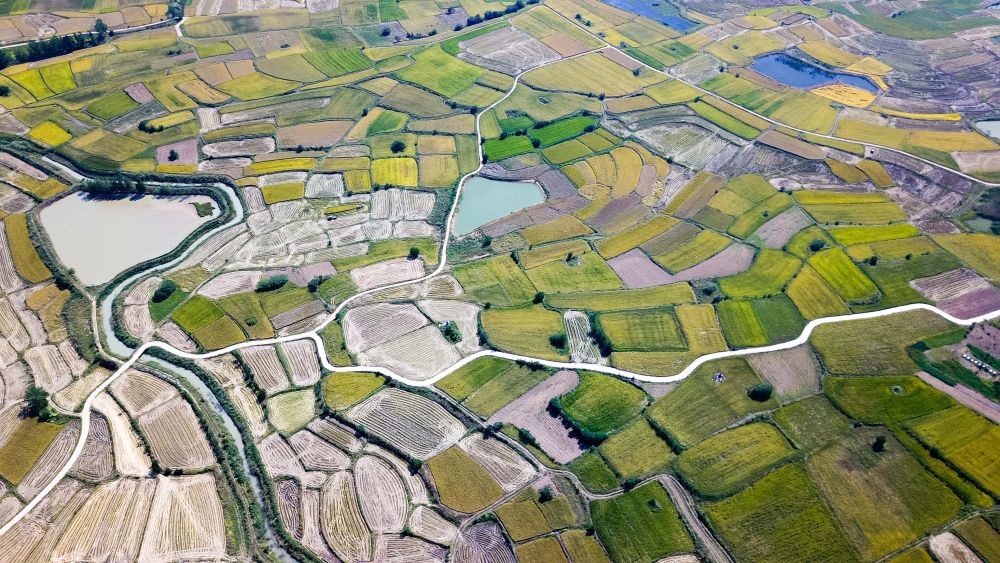 安徽省鳳陽縣小崗村的田野景象（2018年9月27日攝，無人機照片）。新華社記者 張端 攝