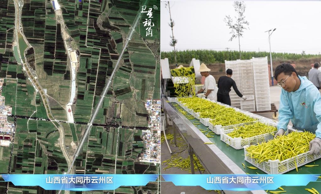當(dāng)前，大同市開發(fā)黃花菜品、食品、飲品、功能食品、化妝品、文創(chuàng)產(chǎn)品六大系列130余種，全產(chǎn)業(yè)鏈產(chǎn)值超40億元。