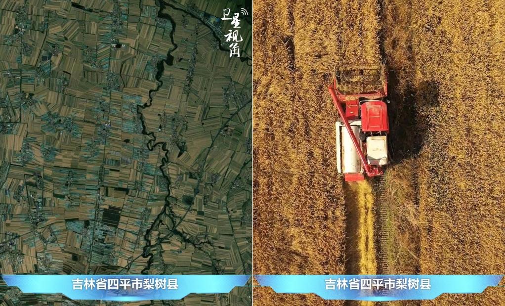隨著現(xiàn)代化農(nóng)機(jī)普及應(yīng)用，保護(hù)性耕作“梨樹模式”得以大面積推廣，不僅使黑土地保護(hù)與利用持續(xù)深入，更為糧食作物高產(chǎn)穩(wěn)產(chǎn)助力。