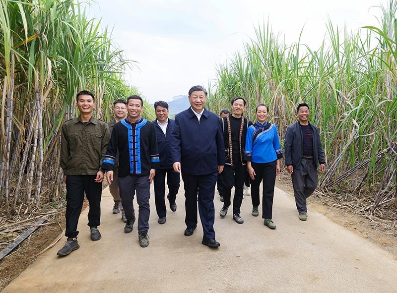 2023年12月14日，習(xí)近平總書記在廣西來賓市國家現(xiàn)代農(nóng)業(yè)產(chǎn)業(yè)園黃安優(yōu)質(zhì)“雙高”糖料蔗基地考察。