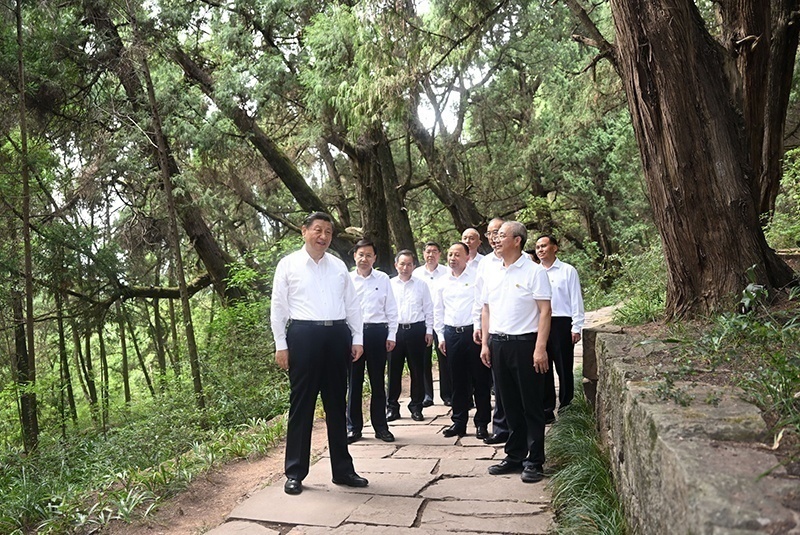 2023年7月25日，習近平總書記在四川廣元市劍閣縣翠云廊考察。新華社記者 謝環(huán)馳 攝