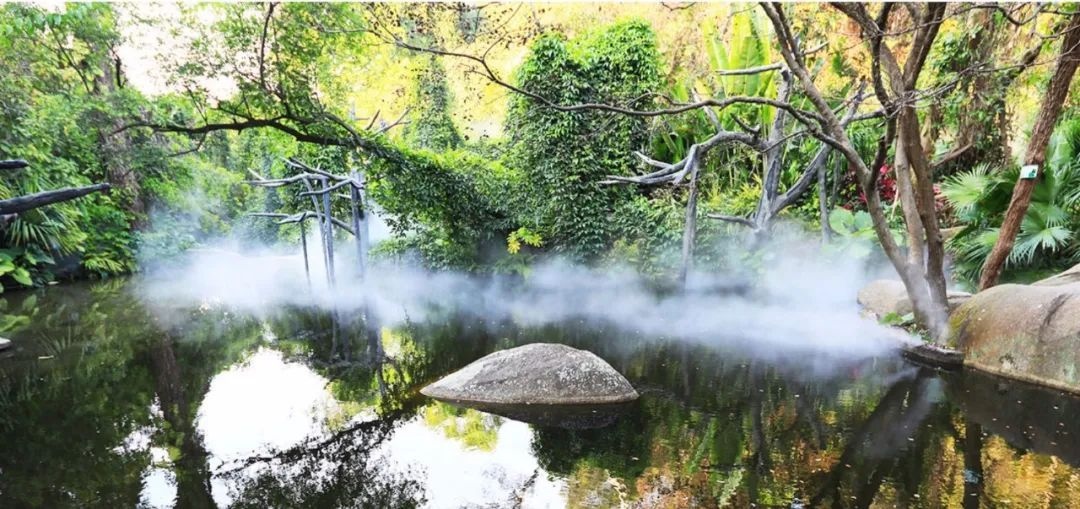 △鼓浪嶼-萬石山風景名勝區(qū)重要組成部分廈門園林植物園熱門景點“雨林世界”。