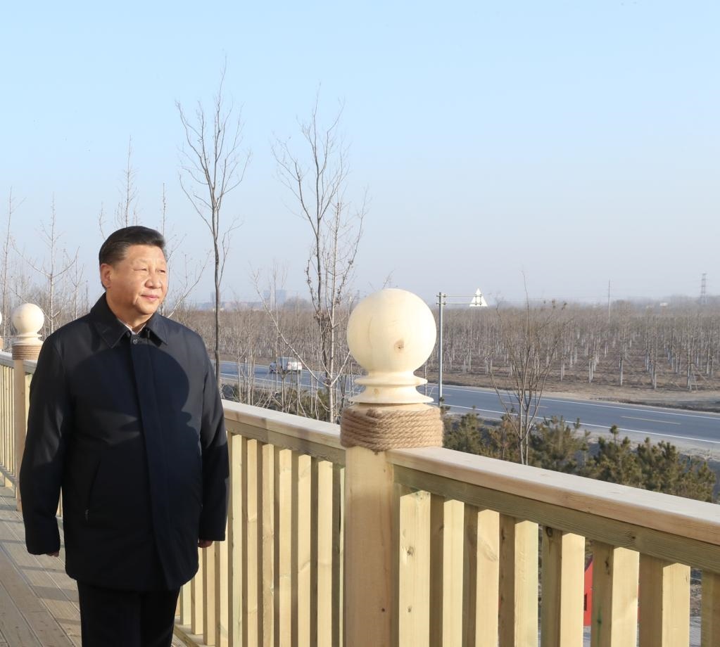 2019年1月16日，在河北雄安新區(qū)“千年秀林”大清河片林一區(qū)造林區(qū)域，習近平總書記登上秀林驛站二層平臺遠眺林區(qū)全貌。新華社記者 鞠鵬 攝