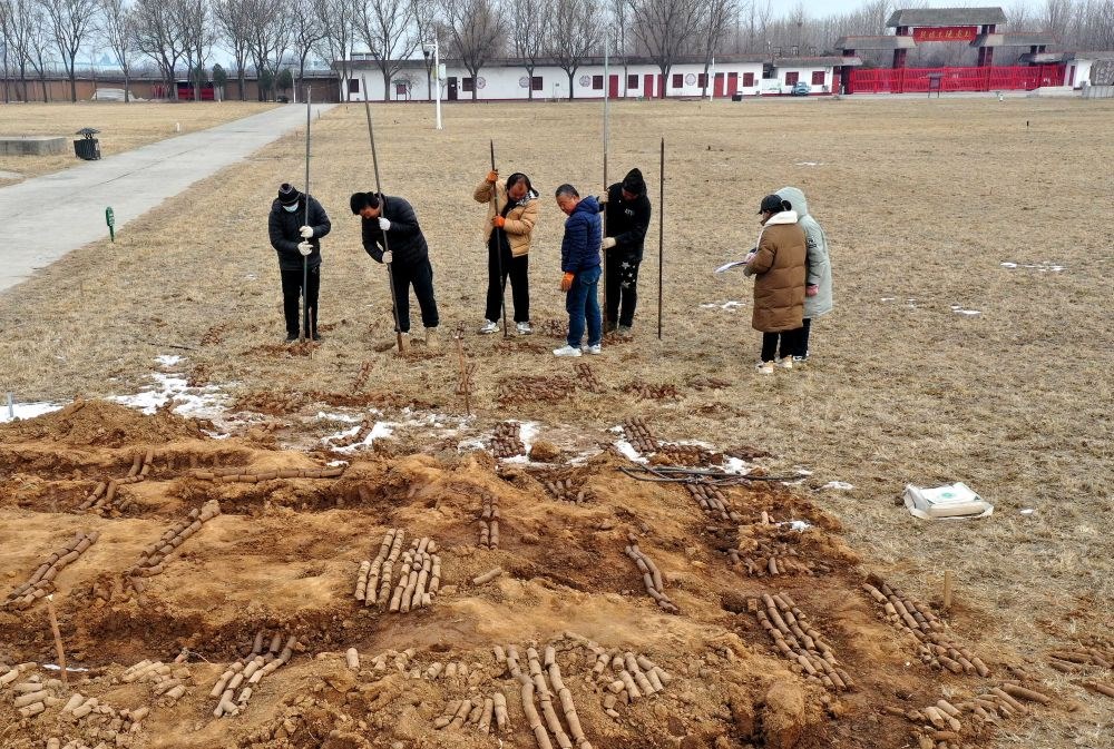 在殷墟王陵遺址，工作人員在勘探圍溝范圍（2月24日攝）。