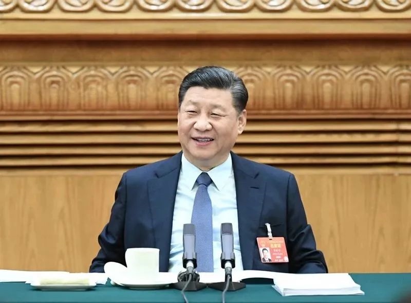 2019年3月8日，習(xí)近平參加十三屆全國(guó)人大二次會(huì)議河南代表團(tuán)的審議。新華社記者 謝環(huán)馳 攝