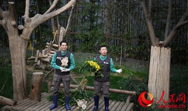 熊貓飼養(yǎng)員姜哲遠(yuǎn)和宋永寬向媒體介紹為“福寶”準(zhǔn)備的送別禮物。人民網(wǎng) 李帆攝